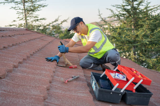 Best Roof Gutter Cleaning  in Columbus Junction, IA