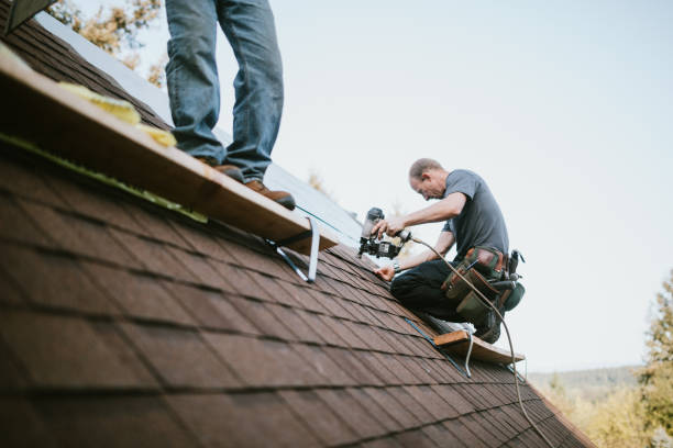 Best Flat Roof Repair Services  in Columbus Junction, IA